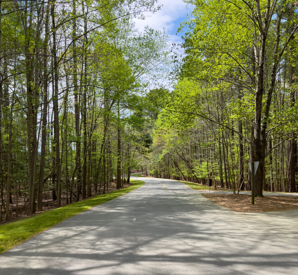 blue jay police scenario road