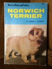 how-to-raise-and-train-norwich-terrier-barbara-fournier