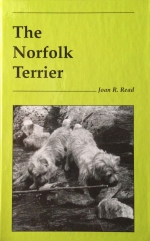 the-norfolk-terrier-joan-read