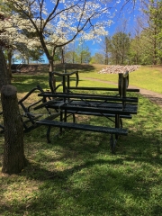 wake-forest-nc-table-in-chains-2020-04-03