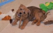 ernie-002695