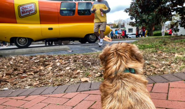 jaxon-studying-oscar-mayer-weiner-mobile