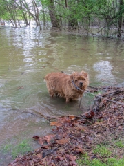 Hank Emerging From the Water