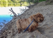 Hank On the Banks of Potomac River